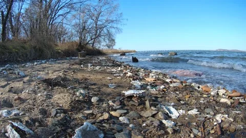 Autumn seashore. Video stock 220545476