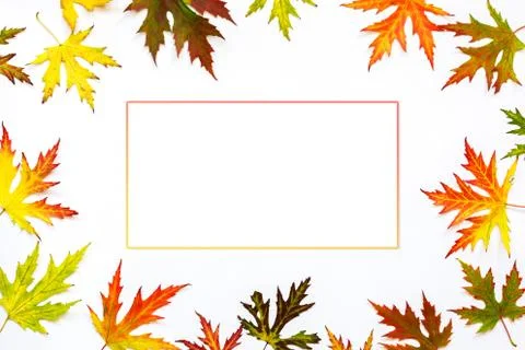 Autumn Season. Flat lay. Copy space. Stock Photos