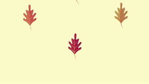Autumn season leafs pattern background Video stock 158754673