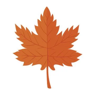 Autumn season maple leaf plant nature icon Stock Illustration