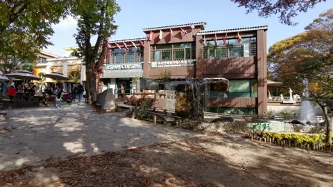 Autumn Season in Nami Island Stock Footage 146452653