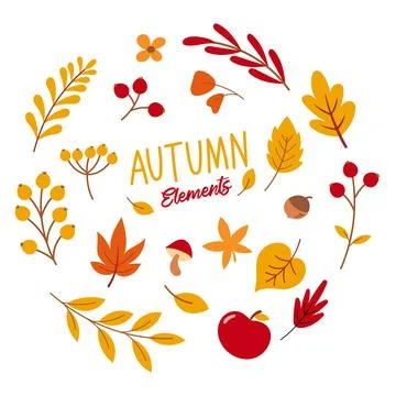 Autumn season vector element. Background of autumn leaves, berries, flowers.. Illustrazione stock