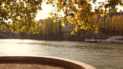 Autumn on the Seine Stock Footage 332450129