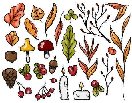 Autumn set of autumn elements on a transparent background, line drawn イラスト素材