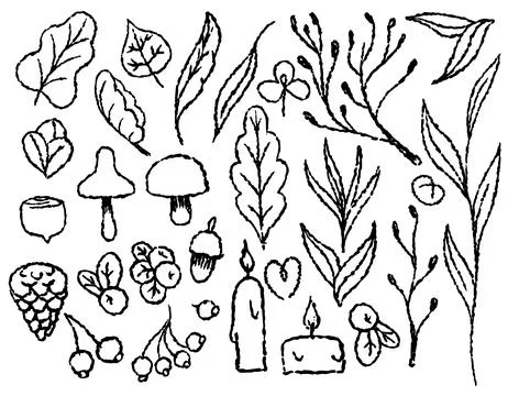 Autumn set of autumn elements on a transparent background, line drawn Stock Illustration