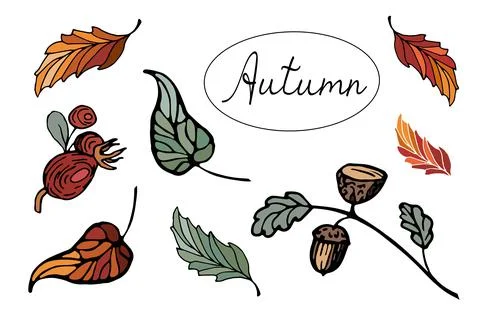 Autumn set with bright vector leaves and fruits. Autumn set of hand drawn doo Stock Illustration