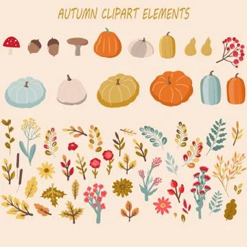 Autumn set, hand drawn elements, fall leaves, pumpkins and other. Stockillustratie