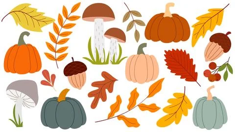 Autumn set of natural forest elements 스톡 일러스트
