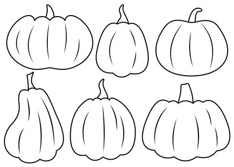 Autumn set of pumpkins on isolated background. Pumpkin outline illustration.. Stock Illustration
