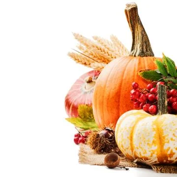 Autumn setting with various pumpkins Stock Photos