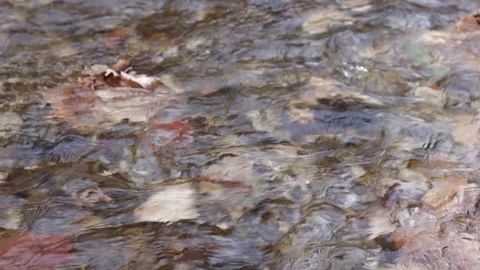 Autumn, the shallow river continues its way to the big water along the riverbed Stock Footage 301585467