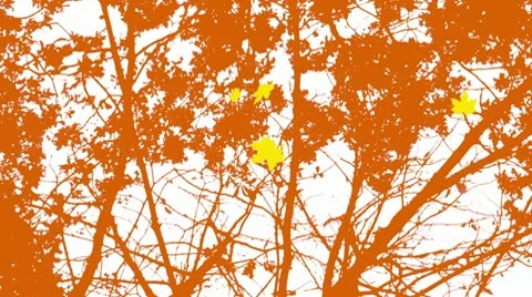 Autumn silhouettes Stock Footage 10343283
