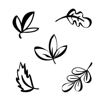Autumn simple set. Fall leaves and berries. Nature symbol line art collection Stock Illustration