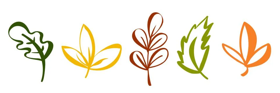 Autumn simple set. Fall leaves and berries. Nature symbol line art collection Stock Illustration