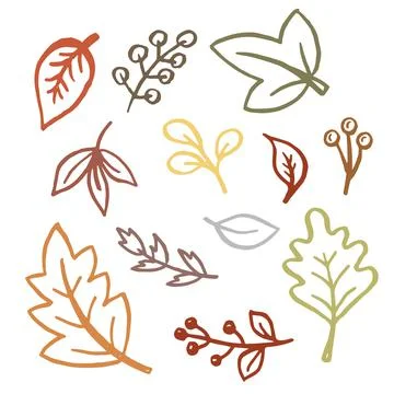 Autumn simple set. Fall leaves and berries. Nature symbol line art collection Stock Illustration