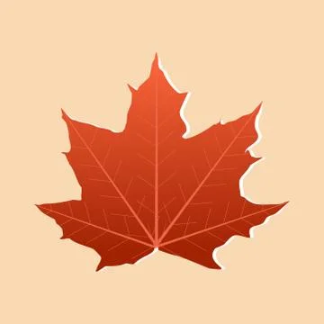 Autumn Single maple leaf orange color isolated on soft orange background. Illustrazione stock