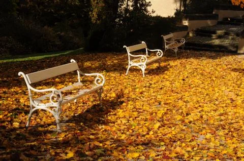 Autumn sit-down Stock Photos