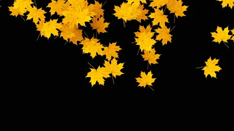 Autumn sketch video computer render Stock Footage 140606713