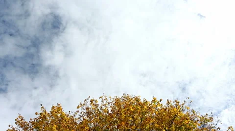 Autumn sky and clouds timelapse Video stock 42708261