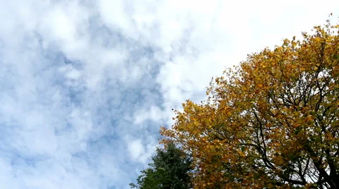 Autumn sky and clouds timelapse Video stock 42708464
