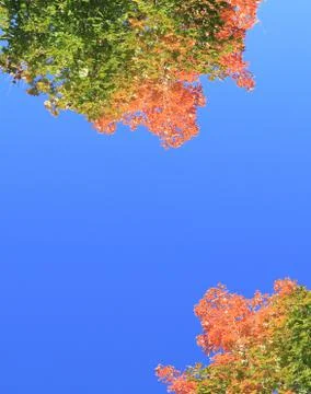 Autumn sky background Stock Photos