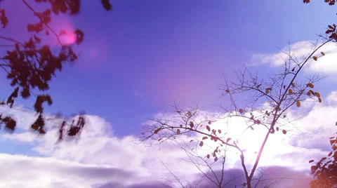 Autumn sky in the clouds Stock Footage 30492106
