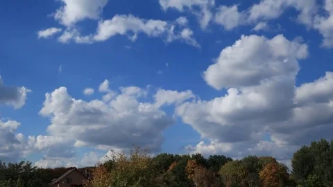 The autumn sky Stock Footage 81010016
