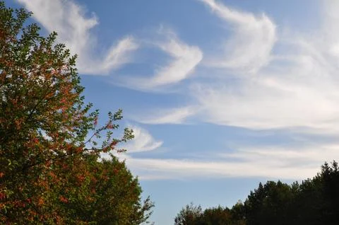 Autumn Sky Landscape Setting With Trees And A Blue Sky Stock Photos