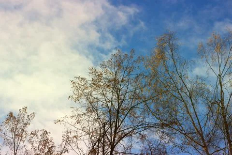 The autumn sky Foto stock
