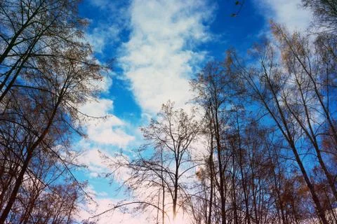 The autumn sky Foto stock