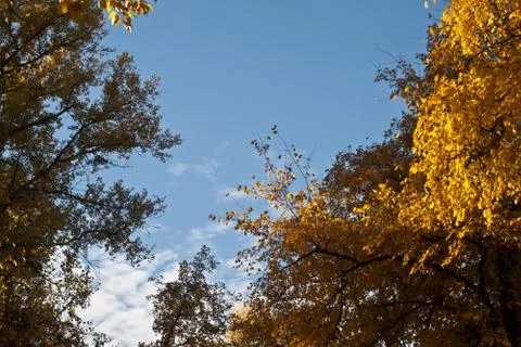 Autumn sky. Stock Photos