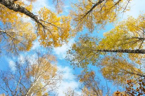 Autumn sky 스톡 사진