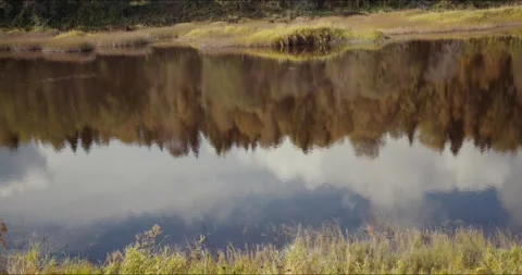 The autumn sky reflected in the river Stock Footage 305915831