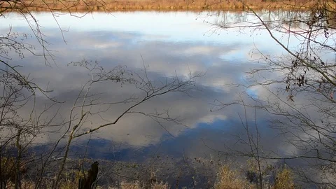 Autumn, sky reflection in the river Stock Footage 118907202