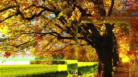 Autumn Slideshow Stock After Effects
