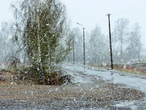 Autumn snowfall Stock Photos