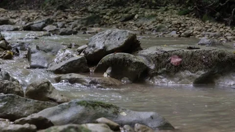 Autumn, the source of a mountain river , a slow flow in a shallow riverbed , Stock Footage 254385190