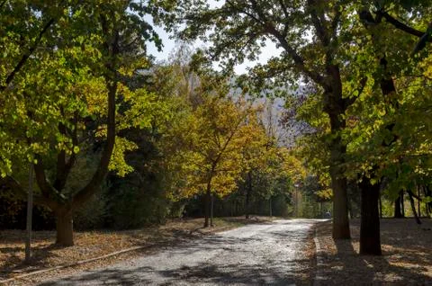 Autumn in South Park in Sofia Stock Photos