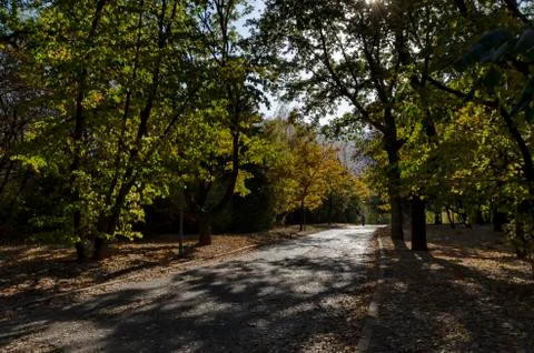 Autumn in South Park in Sofia Stock Photos
