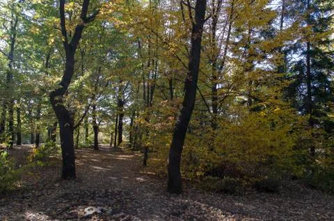 Autumn in South Park in Sofia 스톡 사진