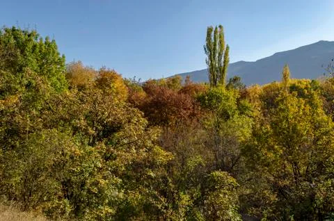 Autumn in South Park in Sofia 스톡 사진