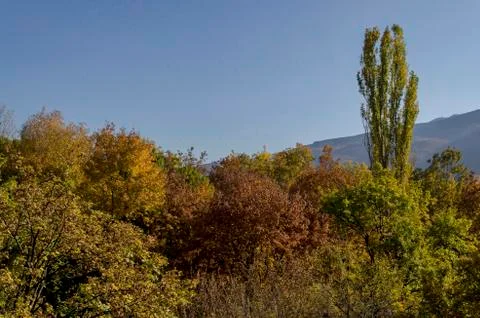 Autumn in South Park in Sofia Stock Photos