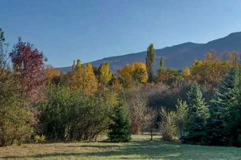 Autumn in South Park in Sofia Stock Photos
