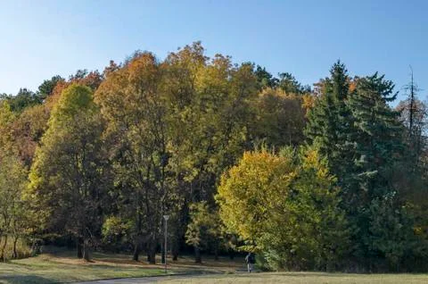 Autumn in South Park in Sofia Stock Photos