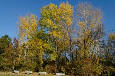 Autumn in South Park in Sofia 스톡 사진