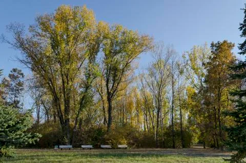 Autumn in South Park in Sofia Stock Photos