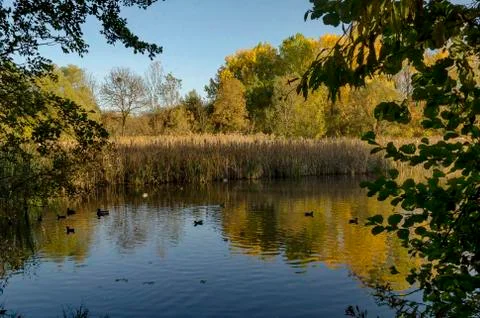 Autumn in South Park in Sofia 스톡 사진