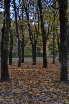 Autumn in South Park in Sofia Stock Photos