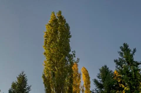 Autumn in South Park in Sofia Stock Photos