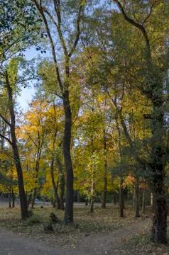 Autumn in South Park in Sofia Stock Photos